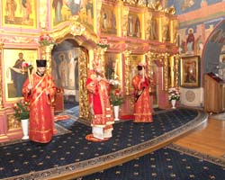 Ковровое покрытие Покровский храм Новоспасского монастыря